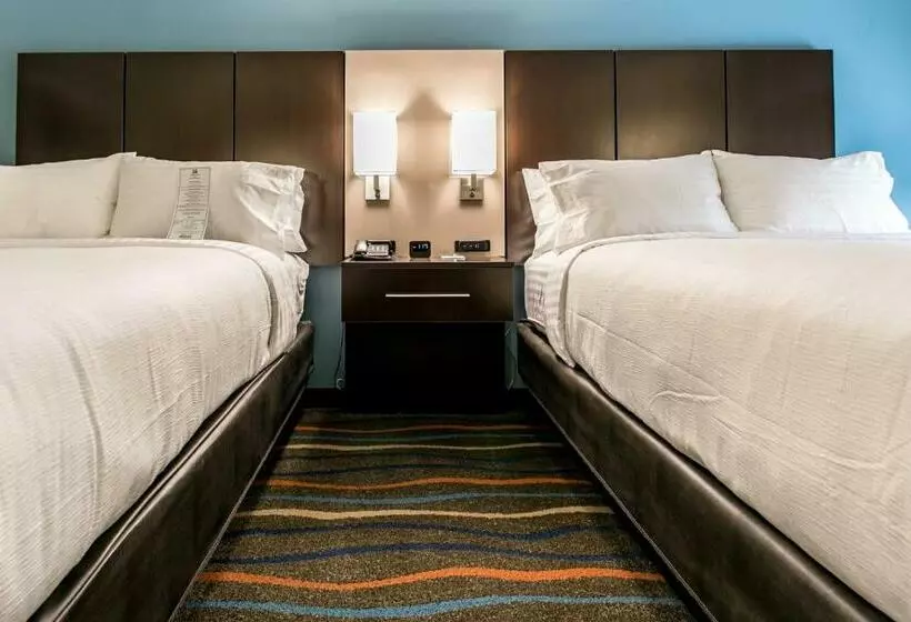 スタンダードルーム, Holiday Inn Hotel & Suites Chattanooga, An Ihg
