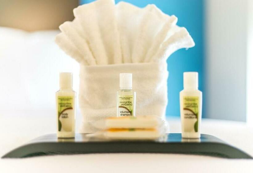 Quarto Estandar, Holiday Inn Hotel & Suites Chattanooga, An Ihg