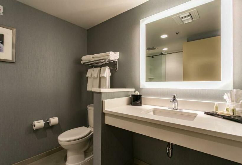 Стандартный Номер Кровать Кинг, Holiday Inn Hotel & Suites Chattanooga, An Ihg