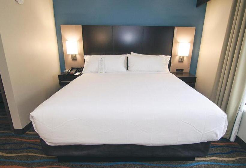 Президентский Люкс, Holiday Inn Hotel & Suites Chattanooga, An Ihg