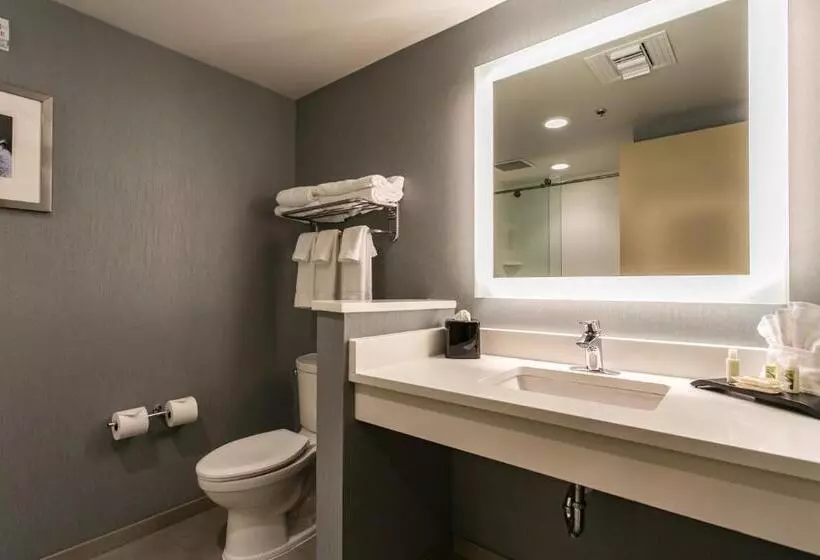 スタンダードルーム, Holiday Inn Hotel & Suites Chattanooga, An Ihg