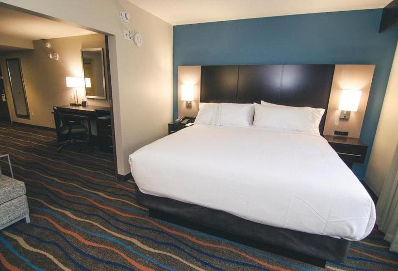 اتاق استاندارد با تخت بزرگ برای معلولان, Holiday Inn Hotel & Suites Chattanooga, An Ihg