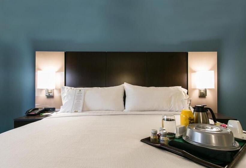 اتاق استاندارد با تخت بزرگ برای معلولان, Holiday Inn Hotel & Suites Chattanooga, An Ihg