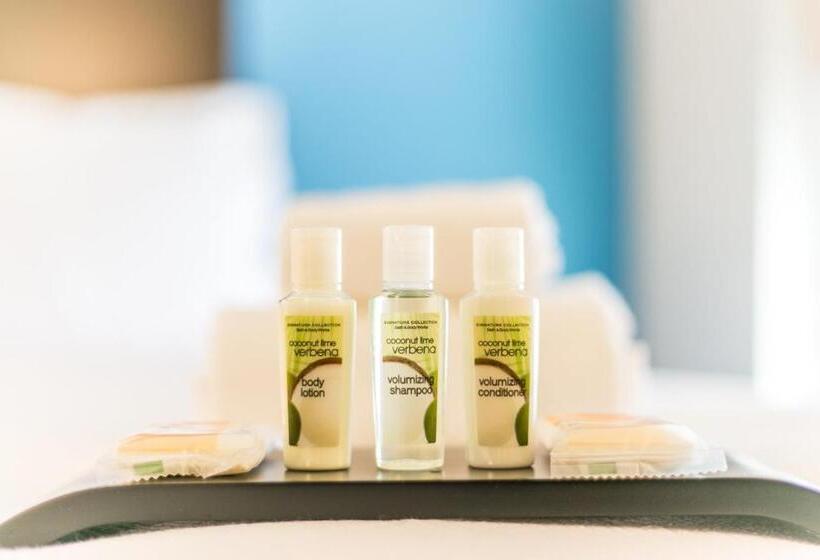 اتاق استاندارد برای معلولان, Holiday Inn Hotel & Suites Chattanooga, An Ihg