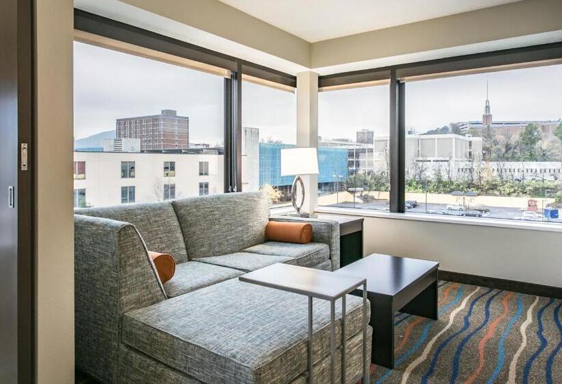 Люкс с Видом, Holiday Inn Hotel & Suites Chattanooga, An Ihg