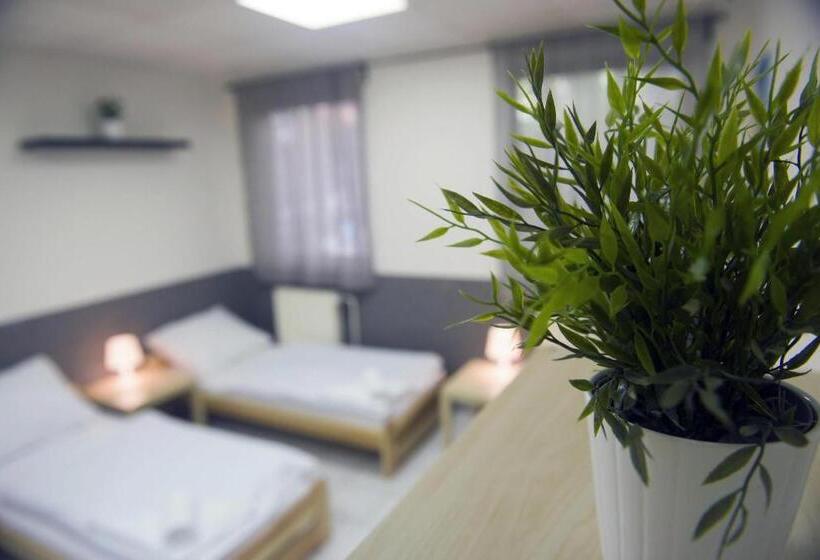 اتاق استاندارد چهارنفره با سرویس بهداشتی مشترک, Hostel Seven