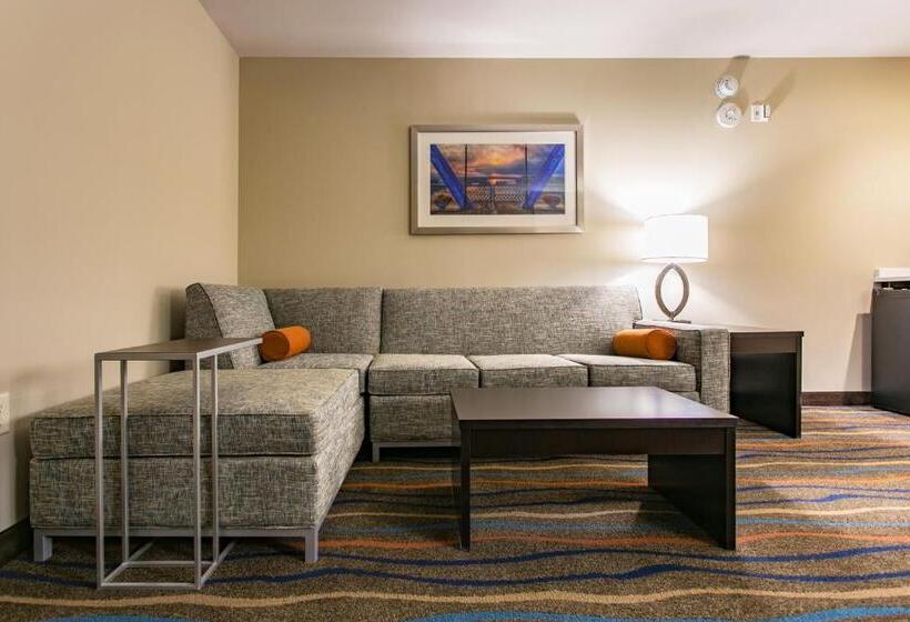 سوئیت با تخت بزرگ, Holiday Inn Hotel & Suites Chattanooga, An Ihg