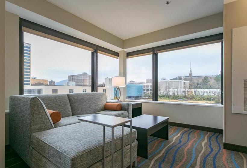 سوئیت با چشمانداز, Holiday Inn Hotel & Suites Chattanooga, An Ihg