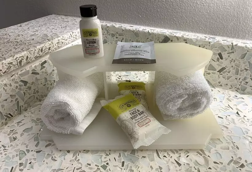 身障者適用スイートルーム, Holiday Inn Express Hotel & Suites Austin Downtown   University, An Ihg