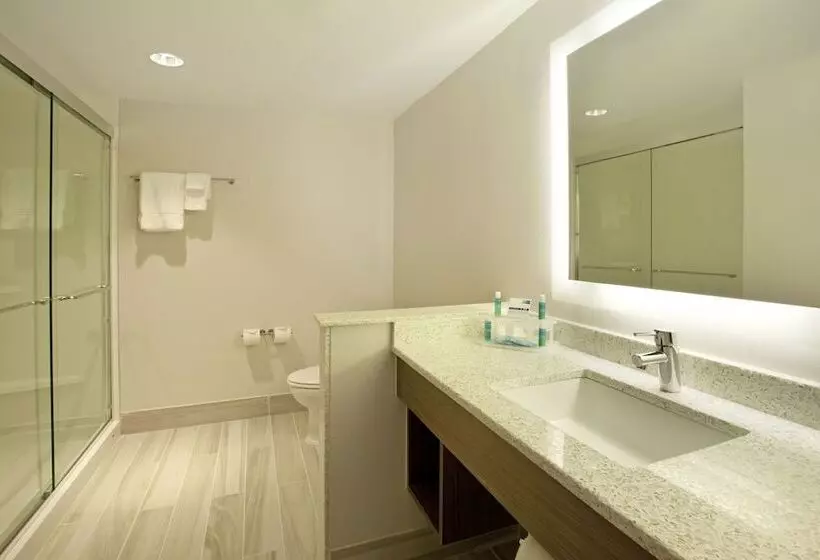 身障者適用スイートルーム, Holiday Inn Express Hotel & Suites Austin Downtown   University, An Ihg