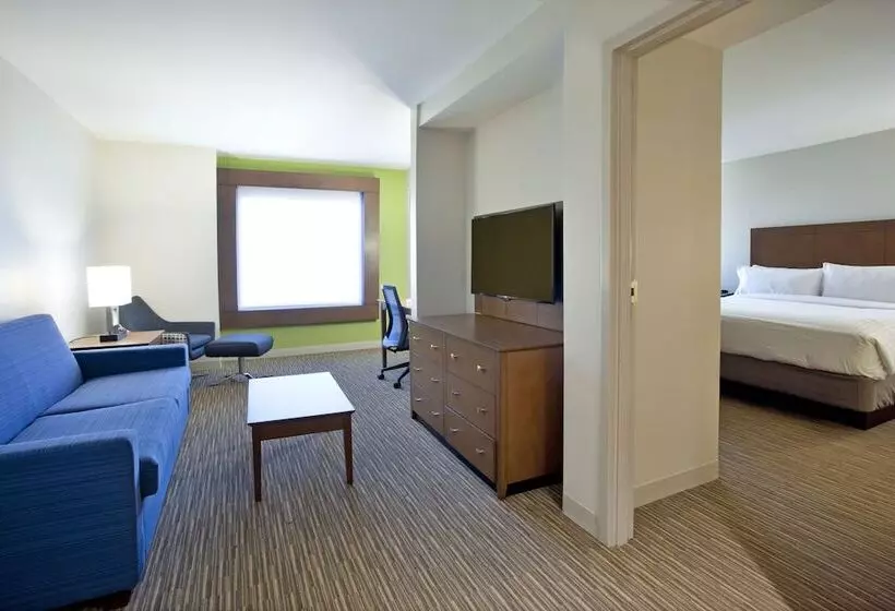 身障者適用スイートルーム, Holiday Inn Express Hotel & Suites Austin Downtown   University, An Ihg