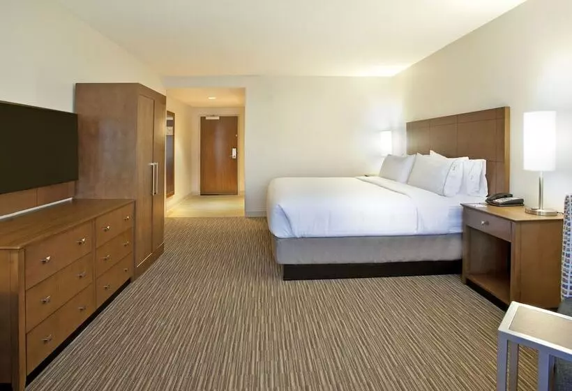 身障者適用スイートルーム, Holiday Inn Express Hotel & Suites Austin Downtown   University, An Ihg