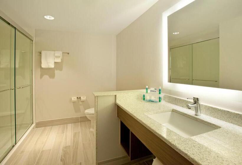 Стандартный Номер Кровать Кинг, Holiday Inn Express Hotel & Suites Austin Downtown   University, An Ihg