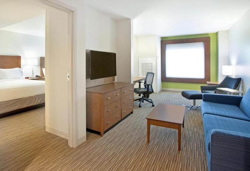 Люкс, Holiday Inn Express Hotel & Suites Austin Downtown University, An Ihg