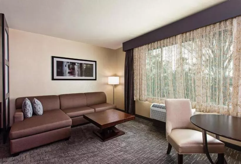Sviitti King-vuode, Holiday Inn Express & Suites Anaheim Resort Area, An Ihg