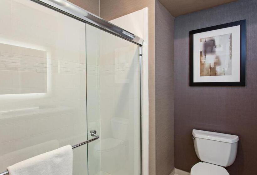 Люкс Кровать Кинг, Holiday Inn Express & Suites Anaheim Resort Area, An Ihg