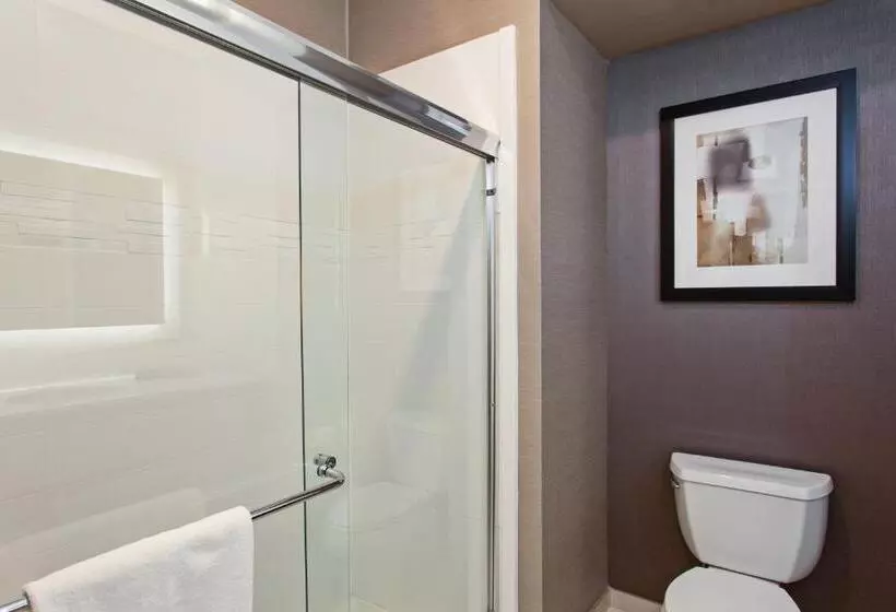 Sviitti King-vuode, Holiday Inn Express & Suites Anaheim Resort Area, An Ihg