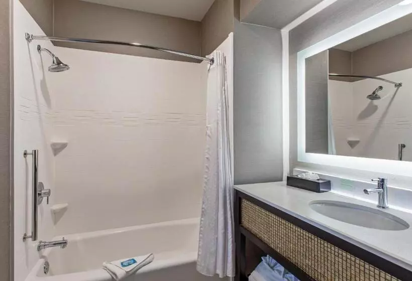 Sviitti Liikuntarajoitteisille, Holiday Inn Express & Suites Anaheim Resort Area, An Ihg