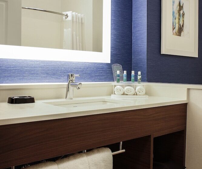 اتاق استاندارد, Holiday Inn Express & Suites Louisville Downtown By Ihg