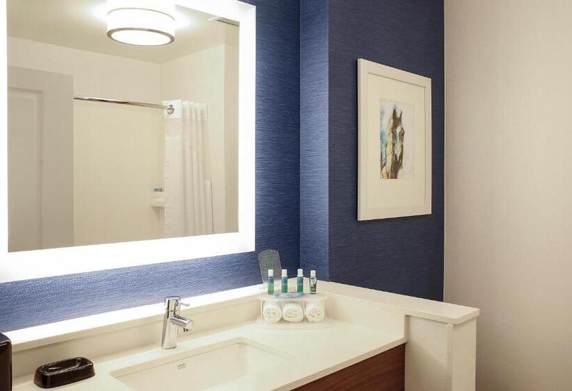 اتاق استاندارد, Holiday Inn Express & Suites Louisville Downtown By Ihg