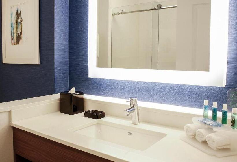 اتاق استاندارد با تخت بزرگ, Holiday Inn Express & Suites Louisville Downtown By Ihg