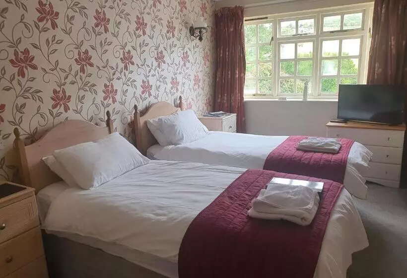 Standard Room Mountain View