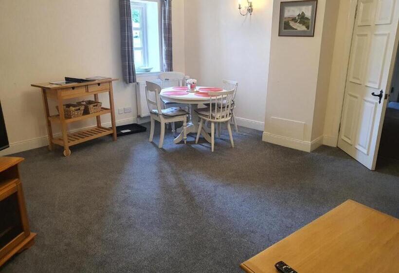 شقة غرفة واحدة, The Border