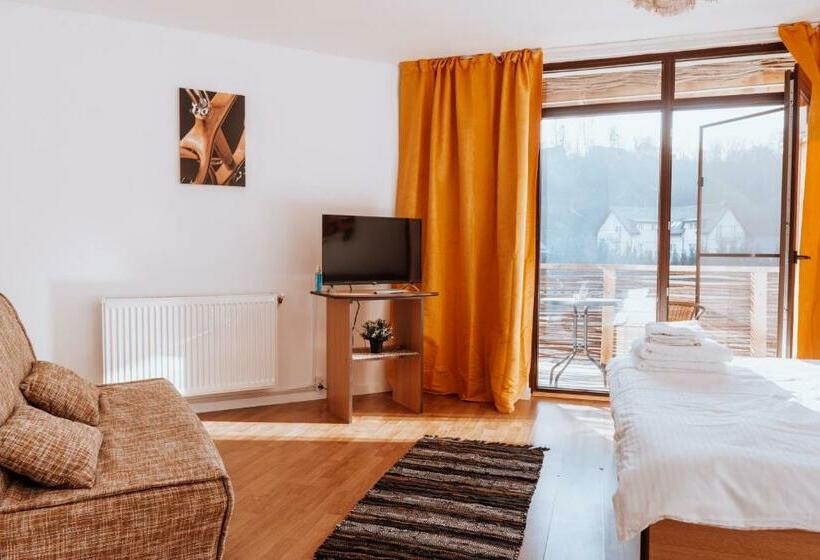 스탠다드 테라스 룸, Pensiunea Bike&bed