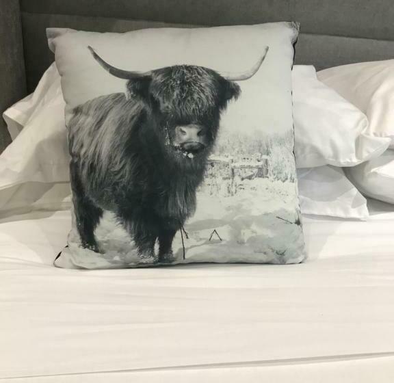 수피리어 룸, The Bulls Head