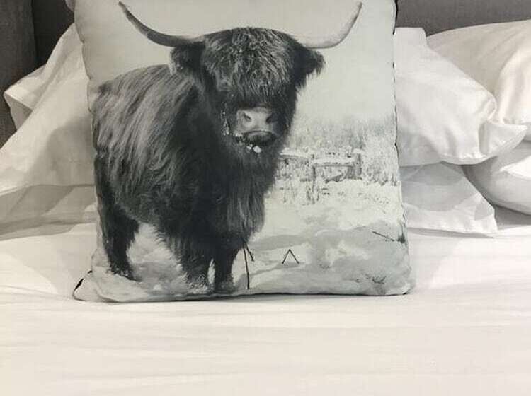 수피리어 룸, The Bulls Head