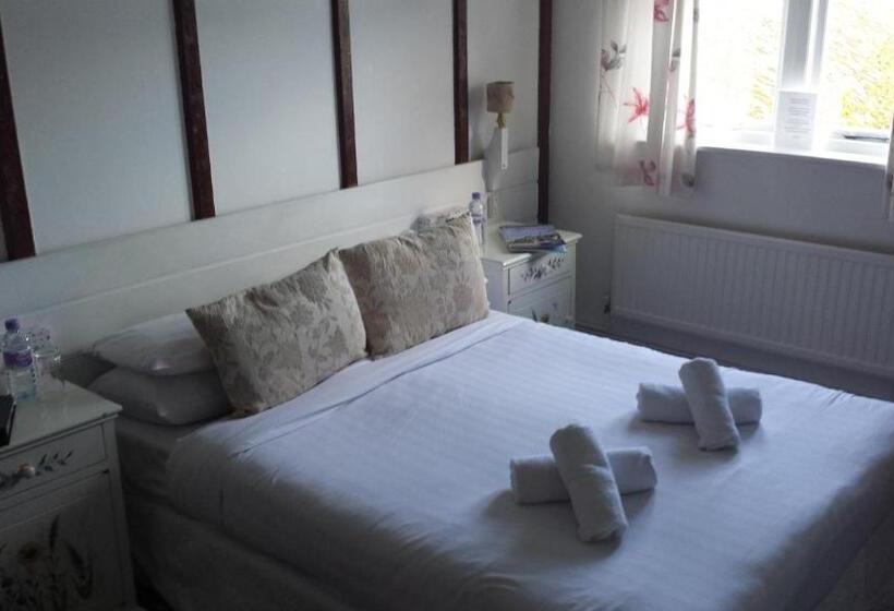 스탠다드 룸, Playden Oasts