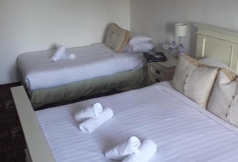 패밀리 룸, Playden Oasts