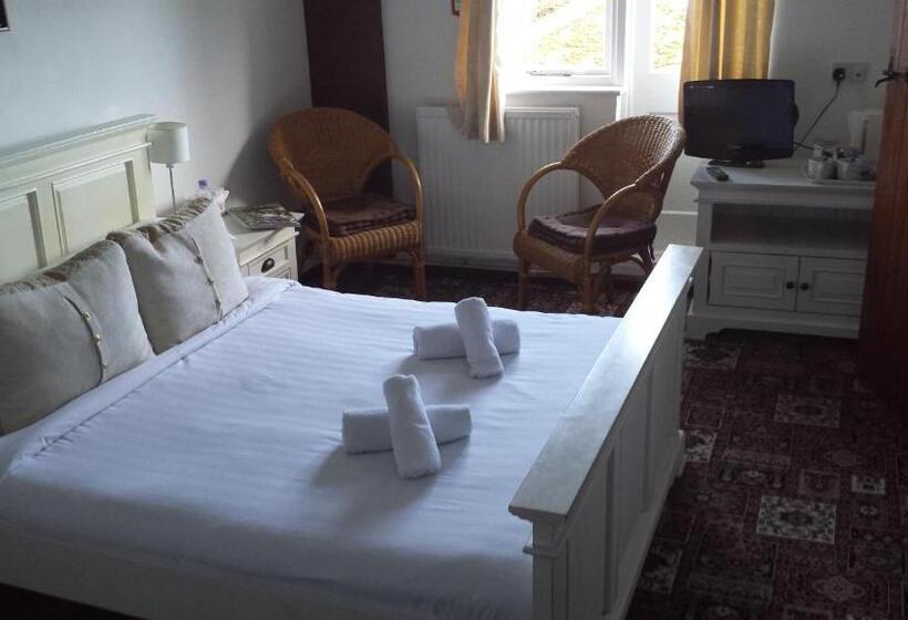 패밀리 룸, Playden Oasts