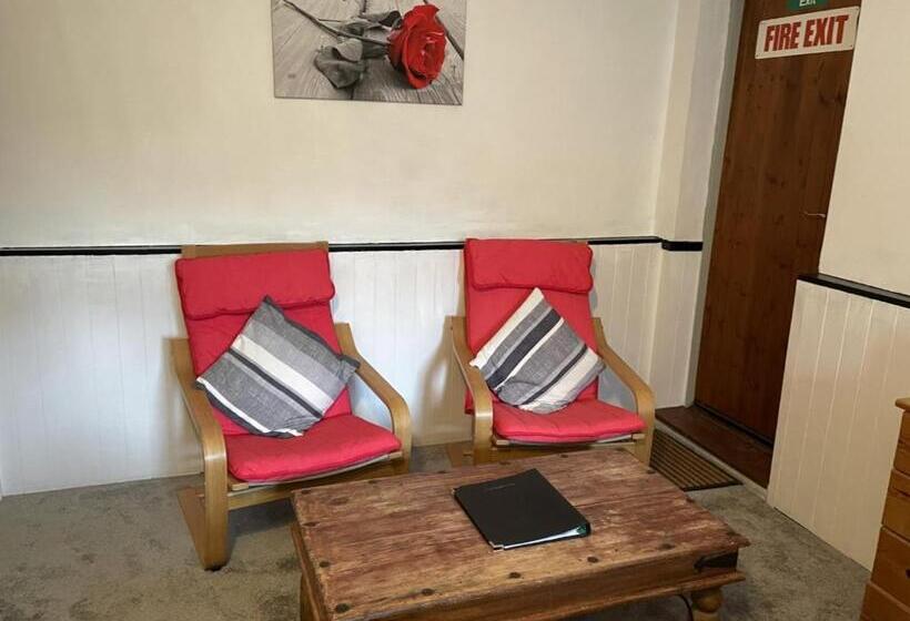 스탠다드 테라스 룸, Playden Oasts