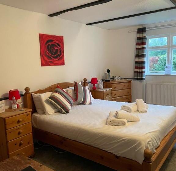 스탠다드 테라스 룸, Playden Oasts