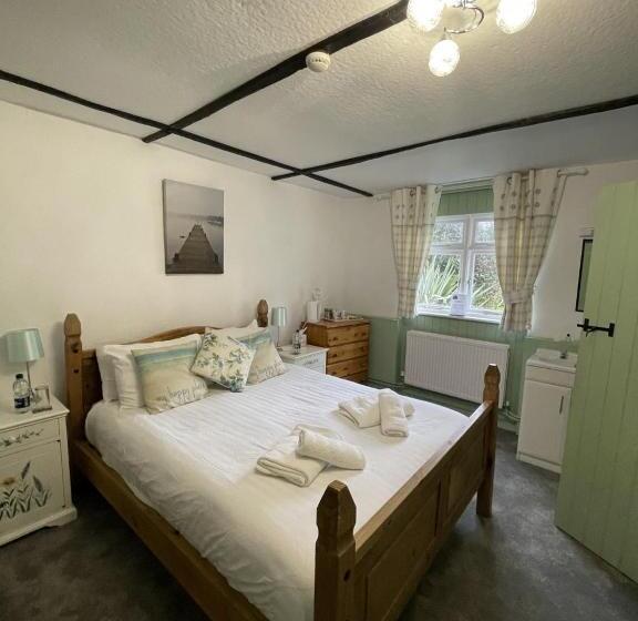 스탠다드 룸, Playden Oasts