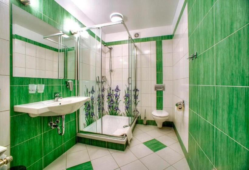 スーペリアールーム, Carpatia Bieszczadzki Gościniec