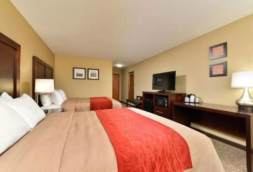 スタンダードルーム, Comfort Inn & Suites Manheim   Lebanon