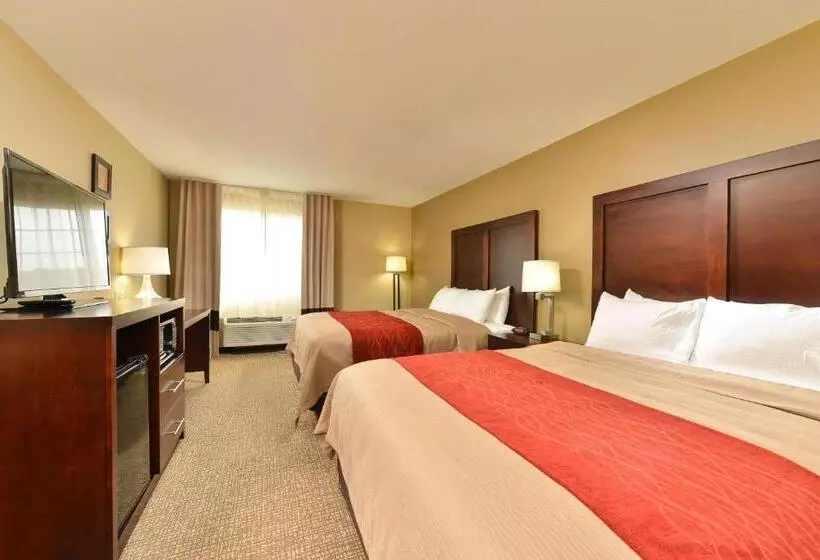 スタンダードルーム, Comfort Inn & Suites Manheim   Lebanon