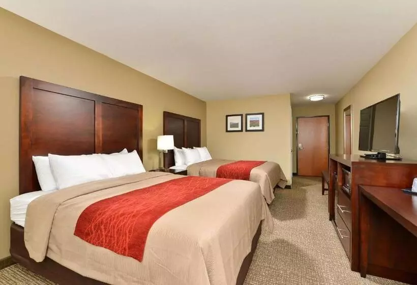 スタンダードルーム, Comfort Inn & Suites Manheim   Lebanon