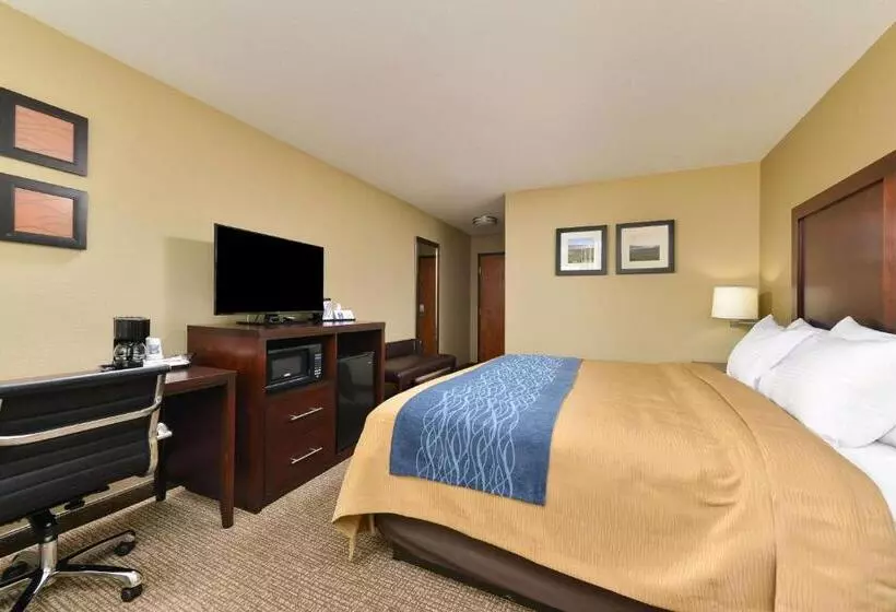 キングサイズベッドのスタンダードルーム, Comfort Inn & Suites Manheim   Lebanon