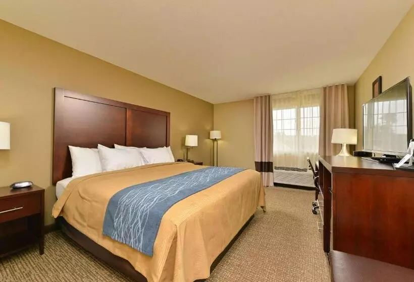 キングサイズベッドのスタンダードルーム, Comfort Inn & Suites Manheim   Lebanon