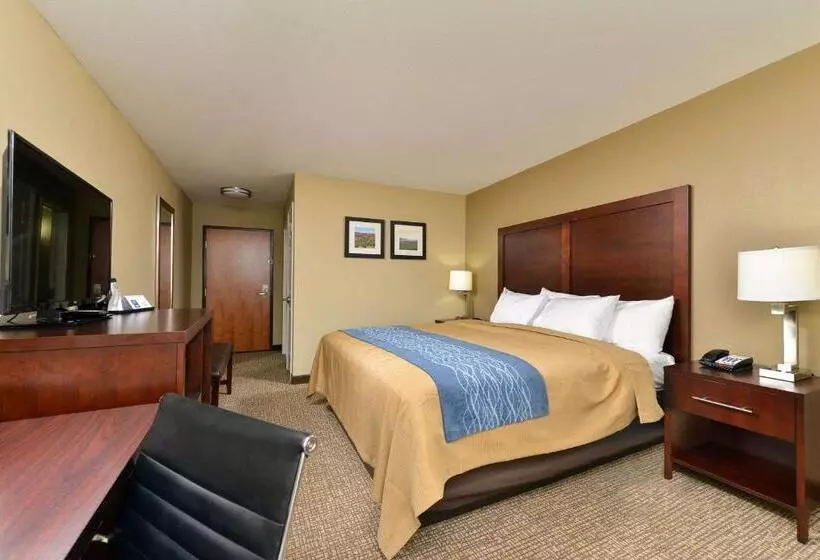 キングサイズベッドのスタンダードルーム, Comfort Inn & Suites Manheim   Lebanon
