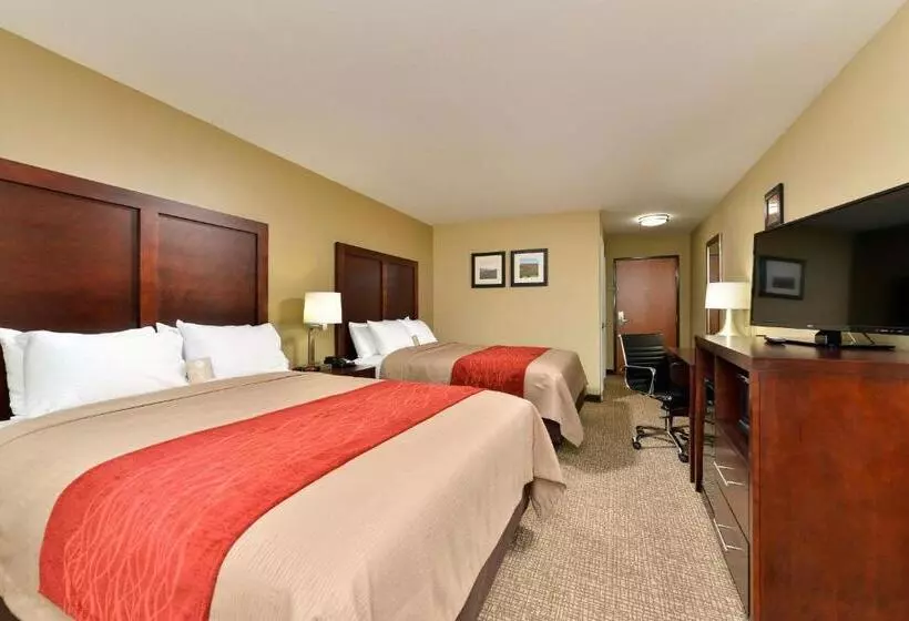 スイート, Comfort Inn & Suites Manheim   Lebanon