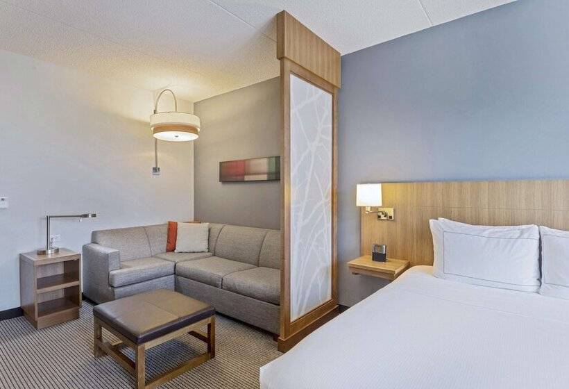 标准间带双人床, Doubletree By Hilton Asheville Downtown