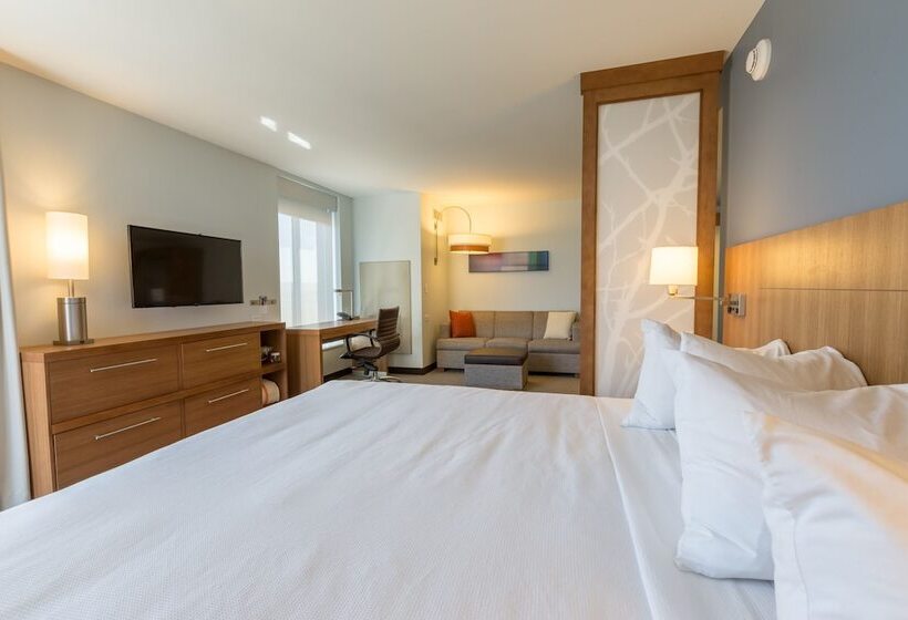 标准间带双人床, Doubletree By Hilton Asheville Downtown