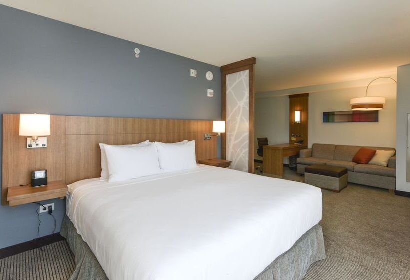 标准间带双人床, Doubletree By Hilton Asheville Downtown