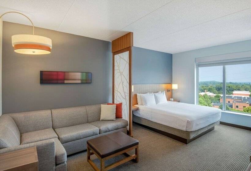 标准间带双人床, Doubletree By Hilton Asheville Downtown