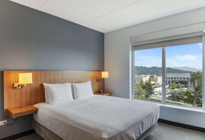 适合残疾人士使用的带双人床的标准间, Doubletree By Hilton Asheville Downtown