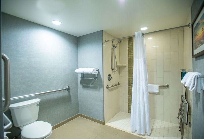 适合残疾人士使用的套间, Doubletree By Hilton Asheville Downtown